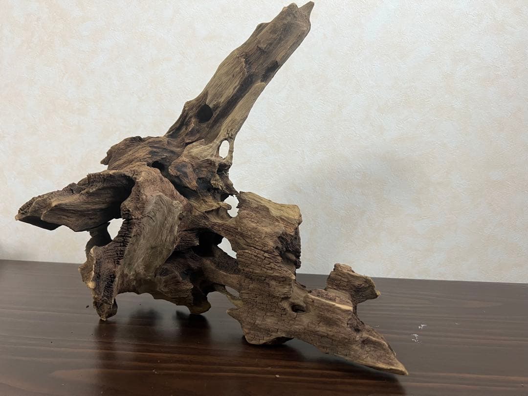 XM-378 流木　マシンガンウッド　アクアリウム　ブランチウッド