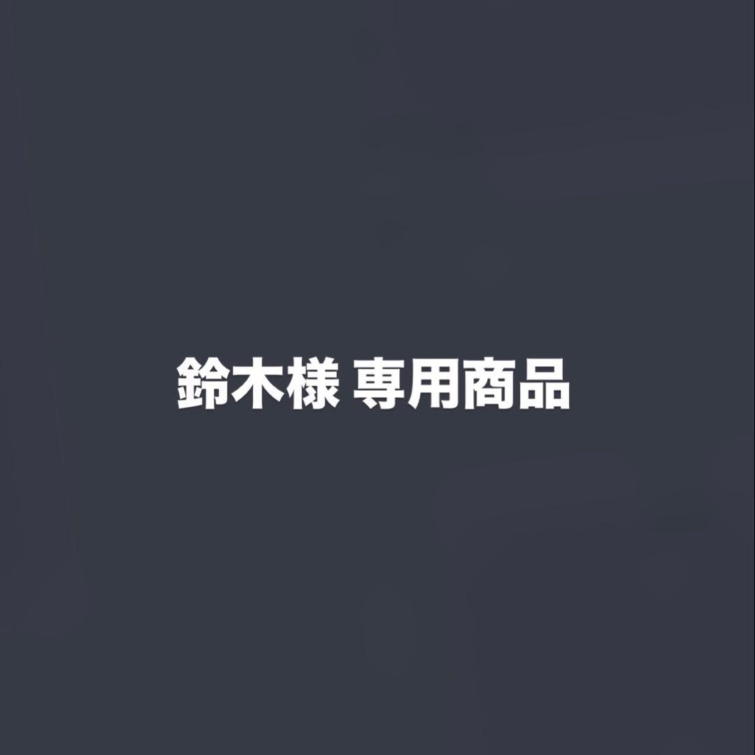 鈴木　お取り置き商品　野原工芸 シャープペンシル
