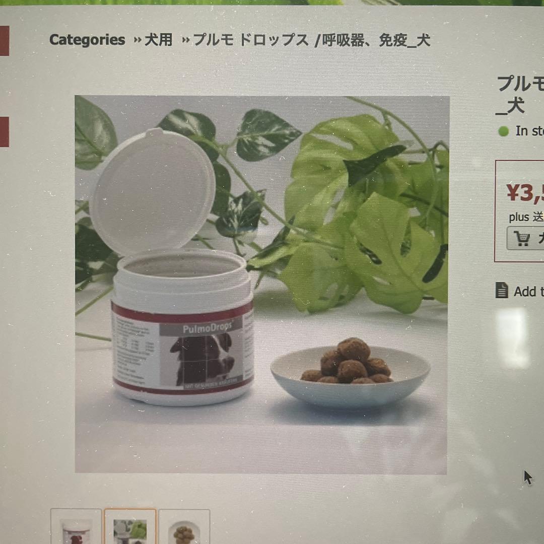 犬用呼吸器免疫力サプリメント 180g×2個