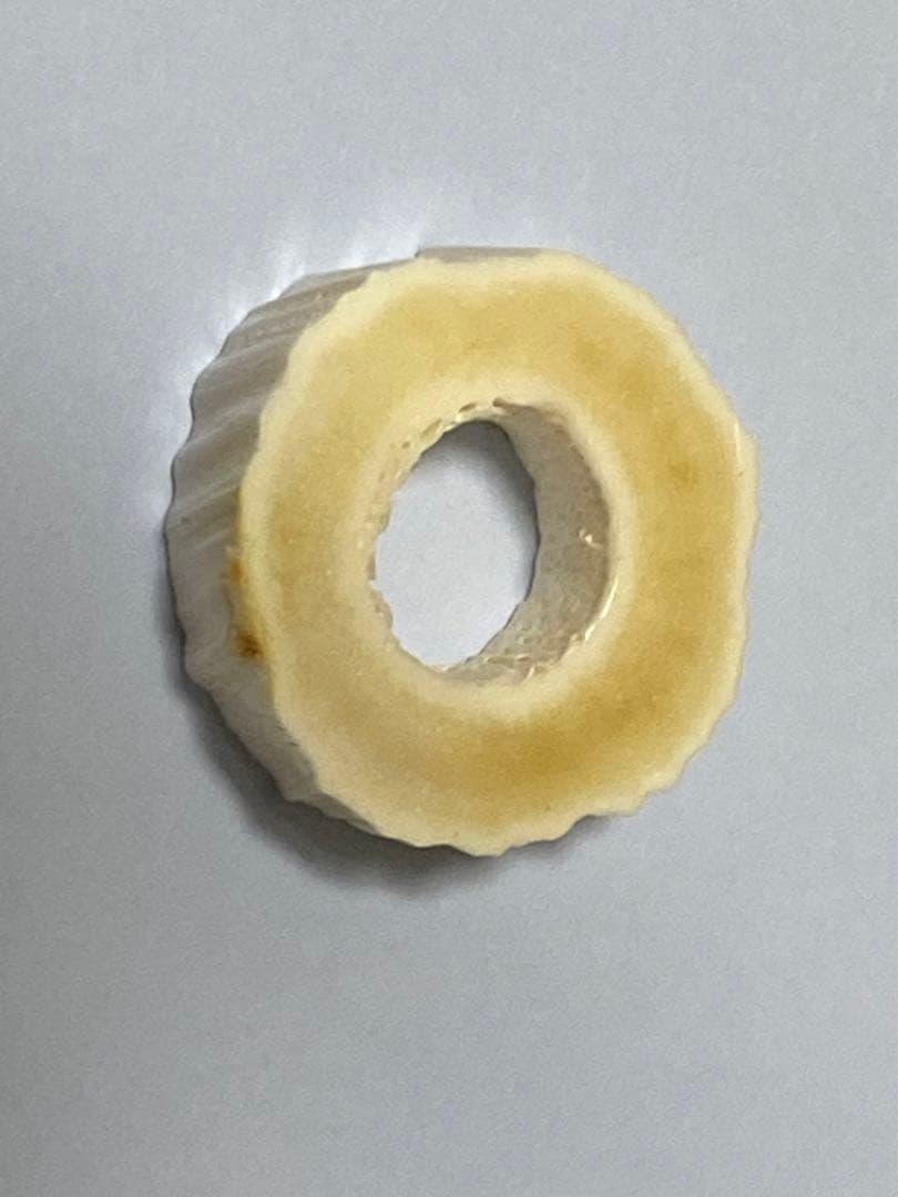 ウニコール　一角　鯨牙　鯨歯　新品　送料無料