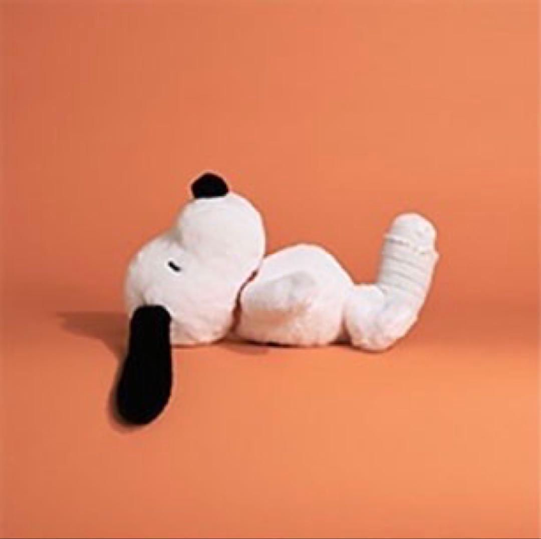 【未使用】Aftenoon Teaひざ乗りクッション ぬいぐるみ ギブス