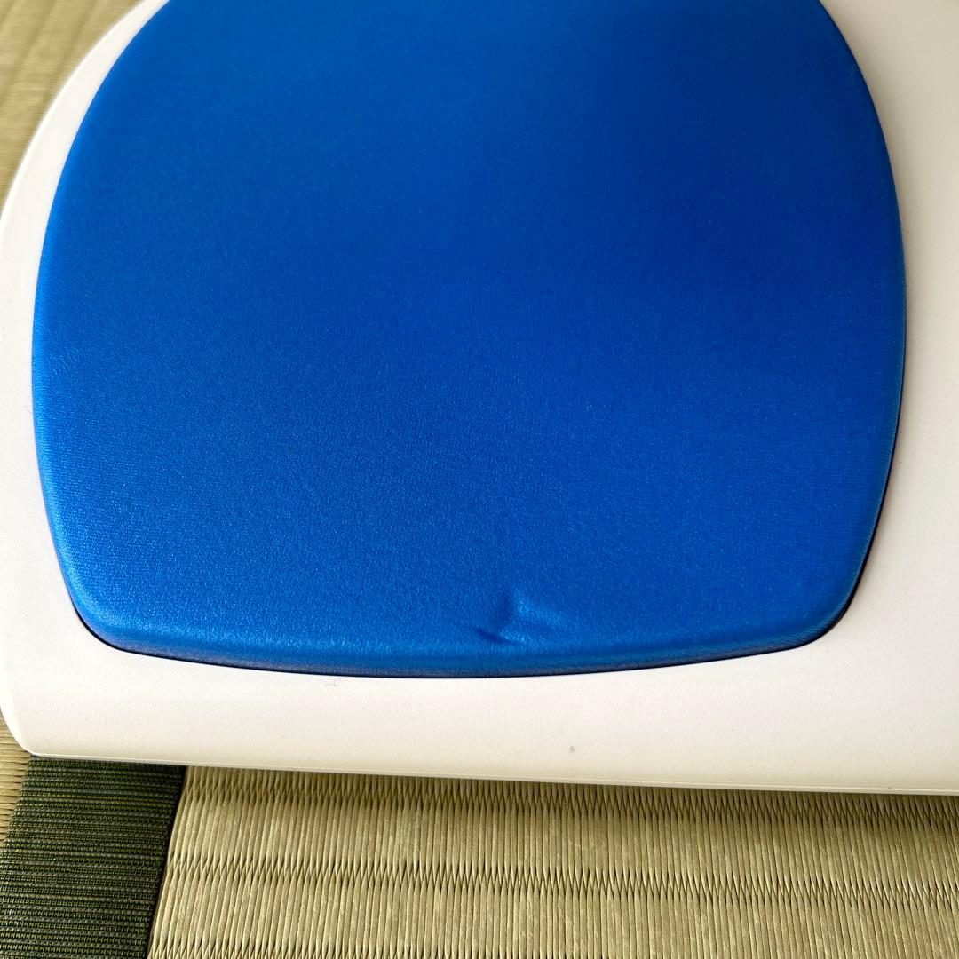 バイオプトロンプロ1 bioptron Pro1　美顔器光療法美顔器