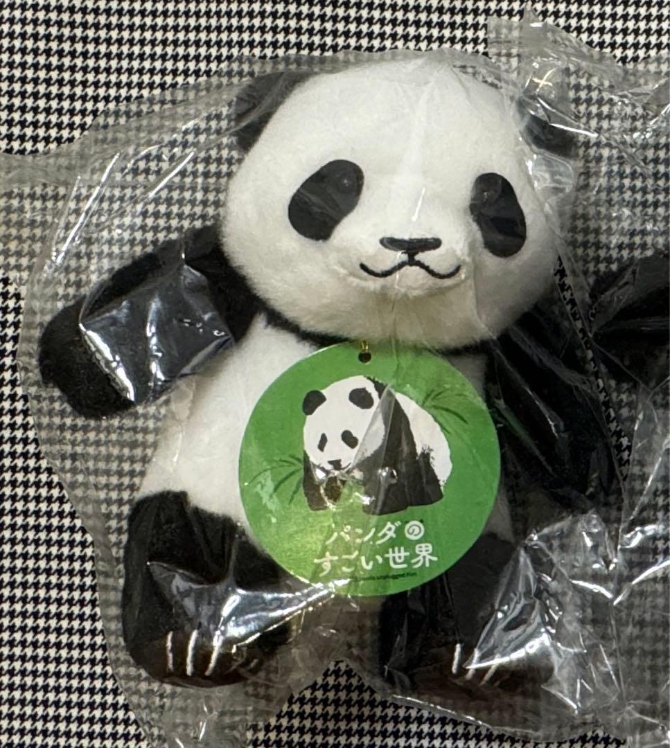 上野松坂屋 パンダ シンシン シャオシャオ レイレイ ポストカード 上野動物園