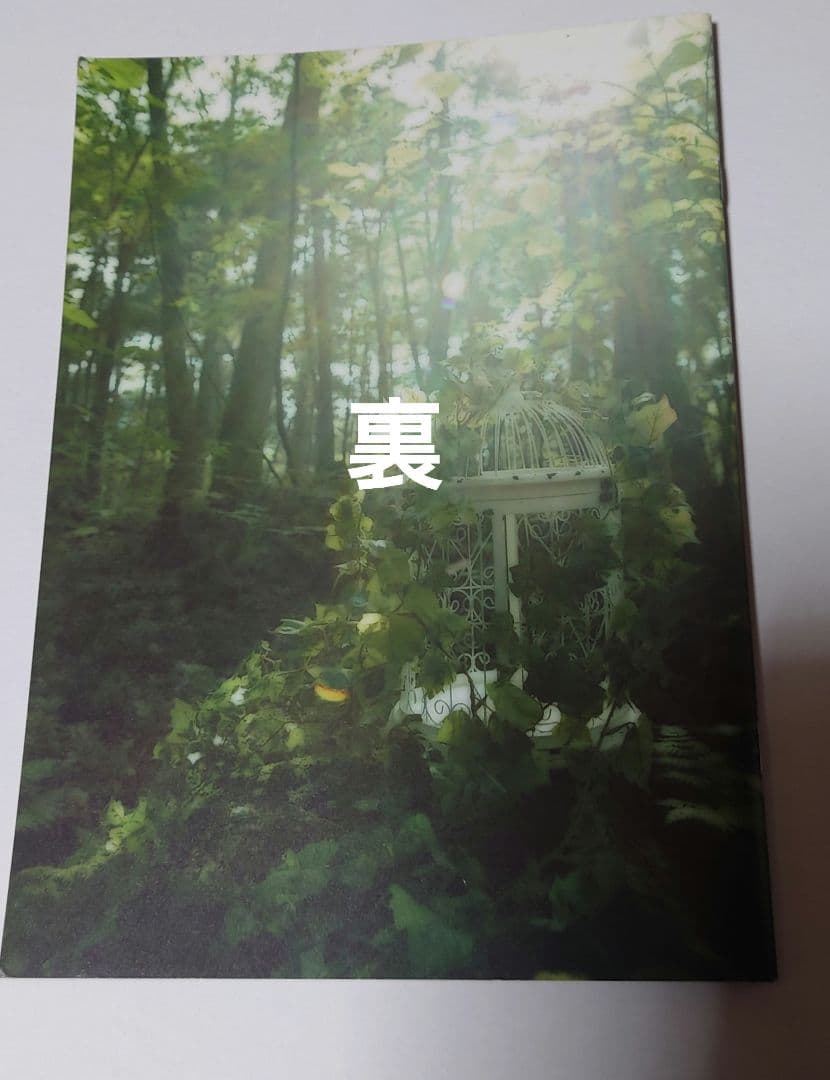 LAREINE パンフレット コメントサイン入り KAMIJO