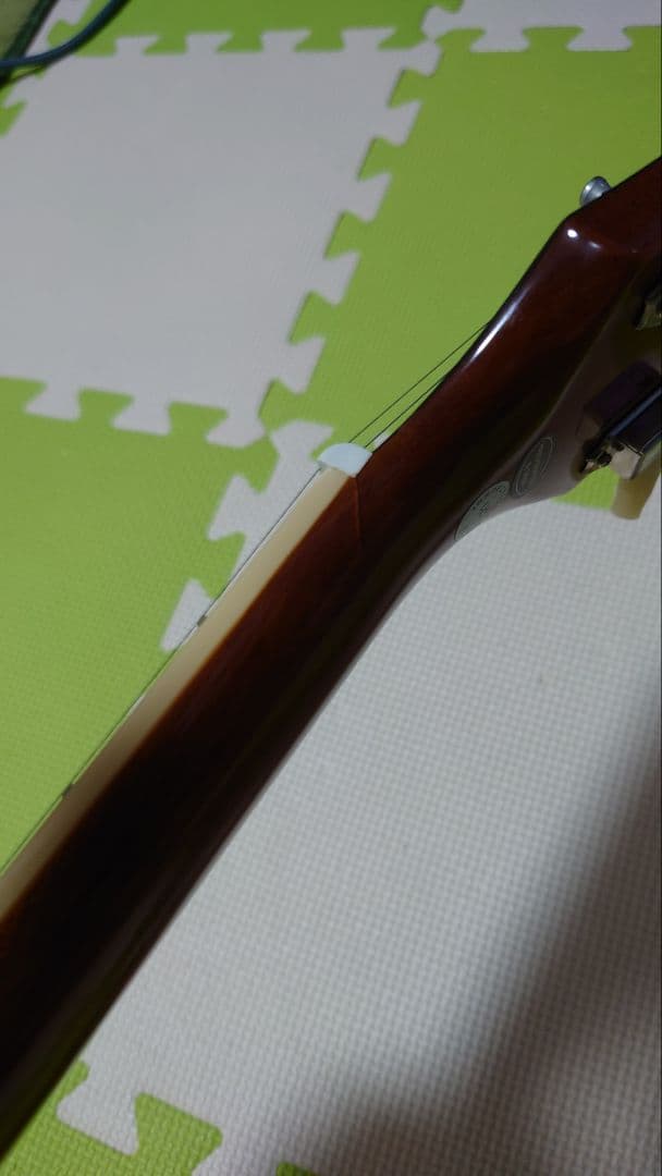 Ryo　　　Epiphone　ES-335 IG