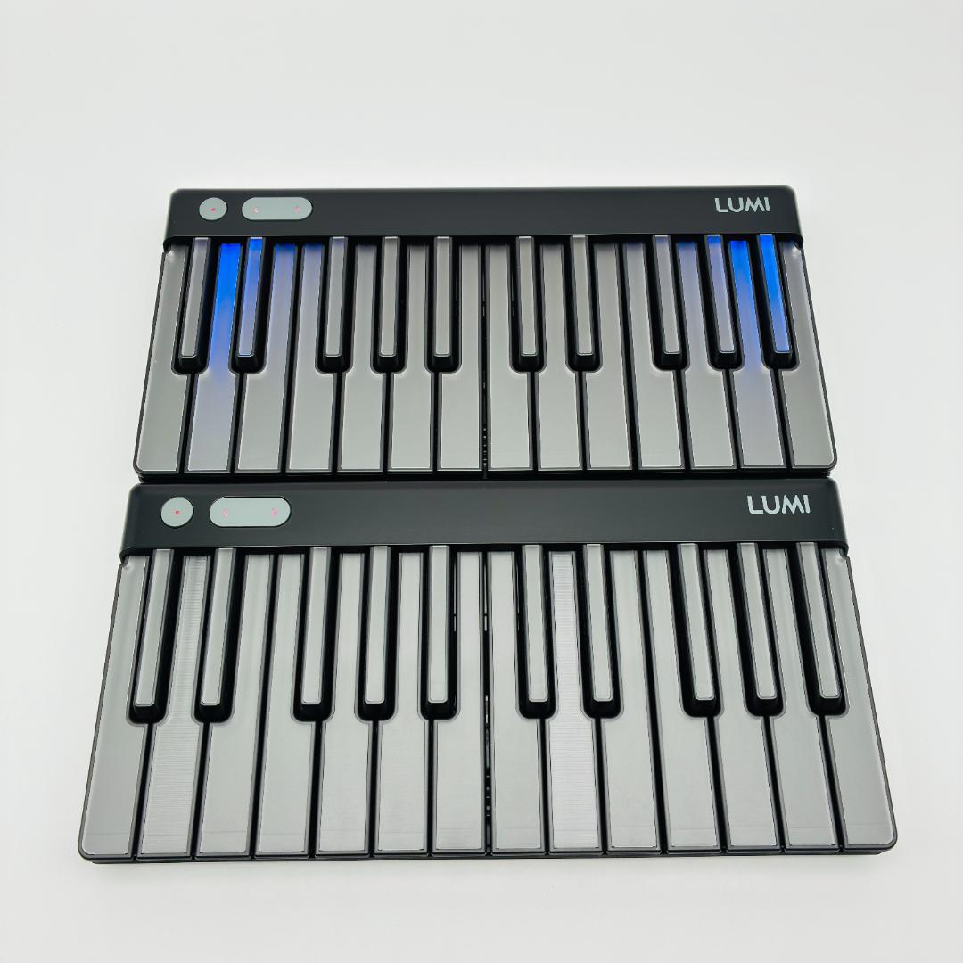 ROLI LUMI Keys ×2 MPE MIDIキーボード