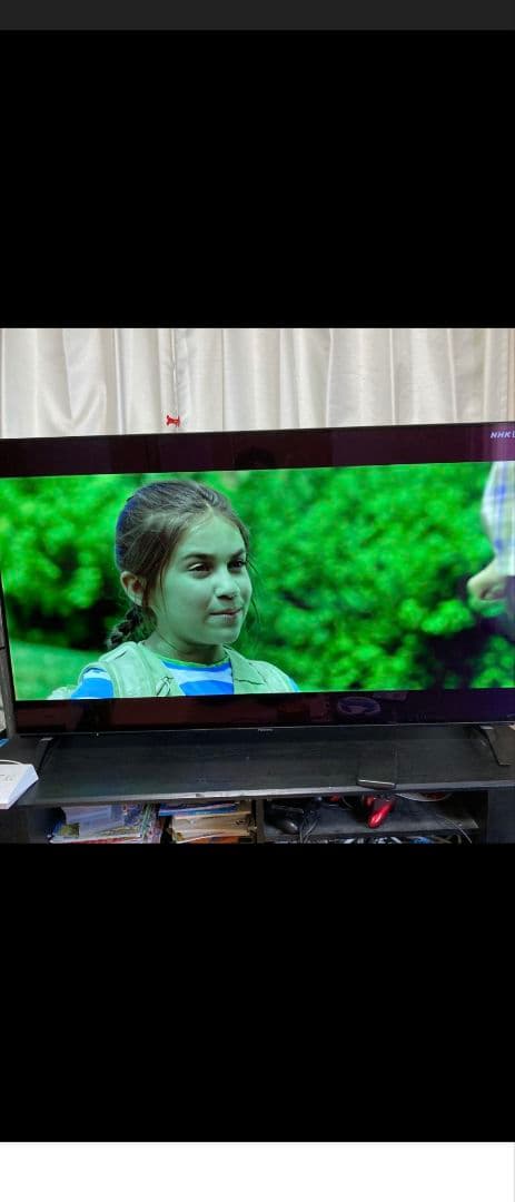 ☆セール☆ Panasonic 2018年製 有機ELテレビ 55型VIERA