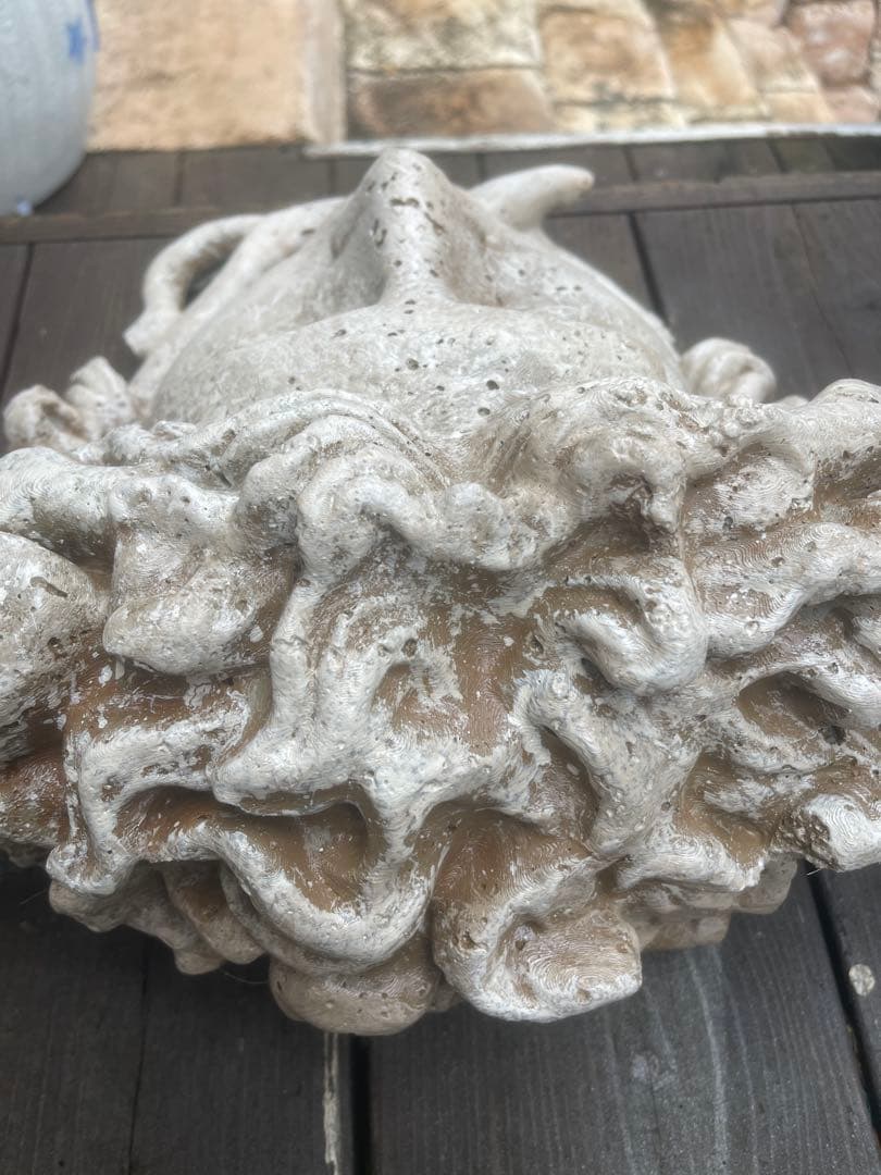 像メデューサ 高さ34сm・ゴルゴンの頭 壁掛 材質: コンクリート