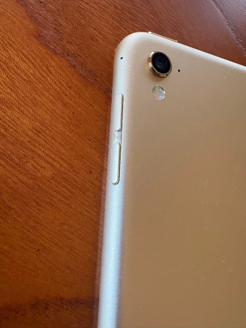 Apple iPad Pro ゴールド Wi-Fiモデル　256GB