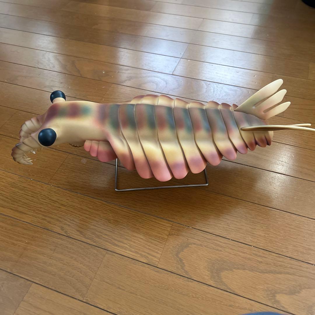 カンブリア紀　アノマロカリス　フィギュア　化石　復元モデル　NHKスペシャル