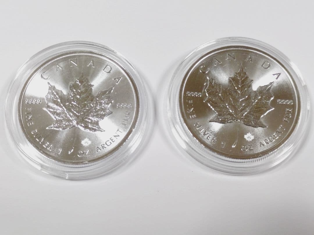 2019カナダメイプルリーフ銀貨1オンス 2枚セット　ケース付き