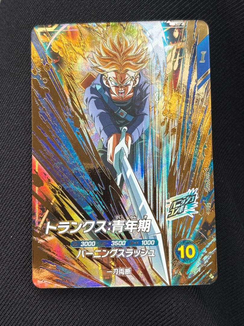 SDV3-029 トランクス青年期　②