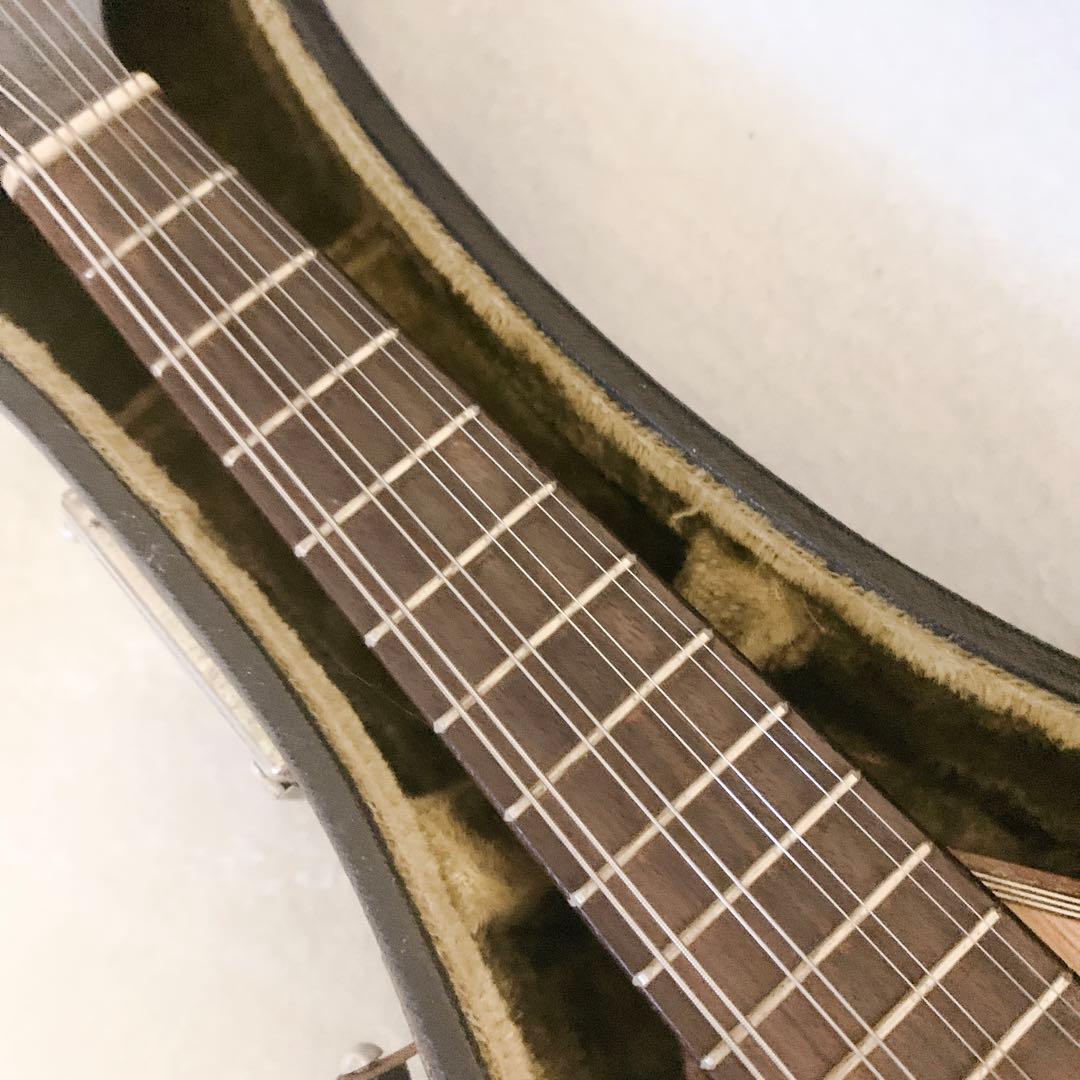 カラーチェ マンドリン 1965 ハードケース付raffaele calace