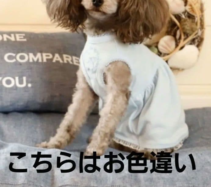 Ateliergg　キャミソールワンピ ブラック 19ハーフ