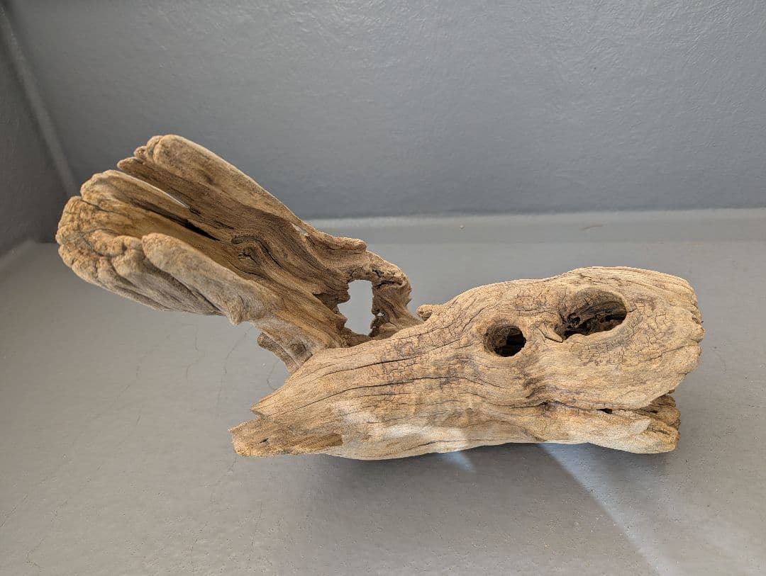 流木 約50cm 自然な形状　ビーチコーミング　アート素材　爬虫類　テラリウム