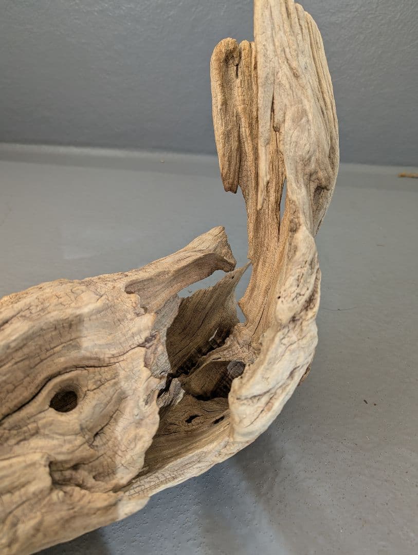 流木 約50cm 自然な形状　ビーチコーミング　アート素材　爬虫類　テラリウム