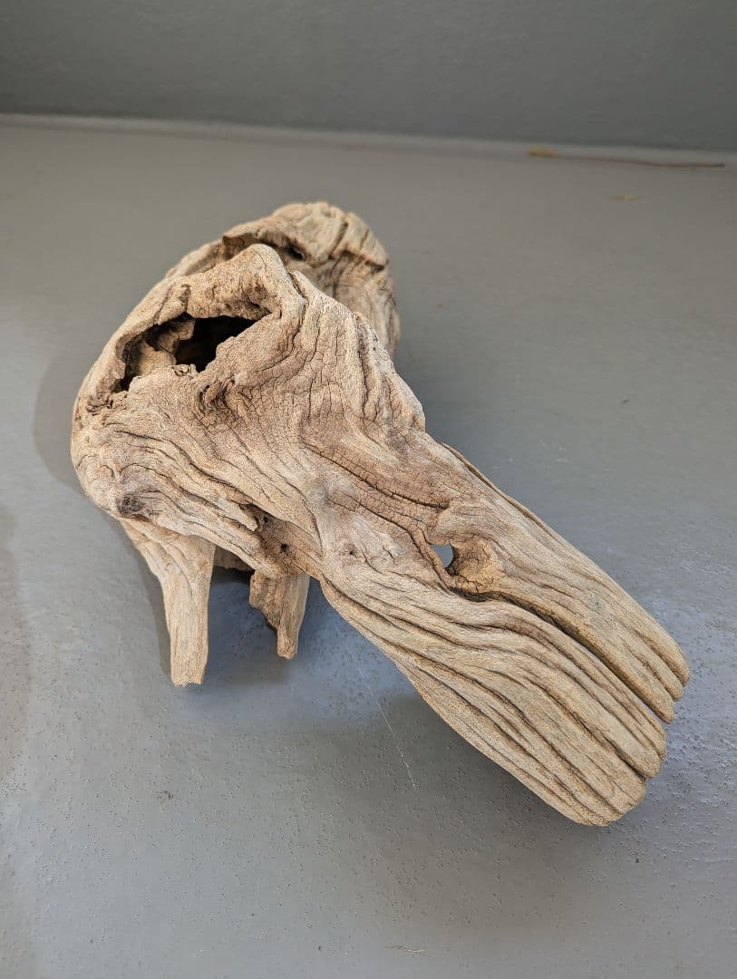 流木 約50cm 自然な形状　ビーチコーミング　アート素材　爬虫類　テラリウム