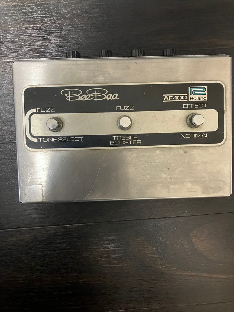 ギター Roland AF100 Bee Baa