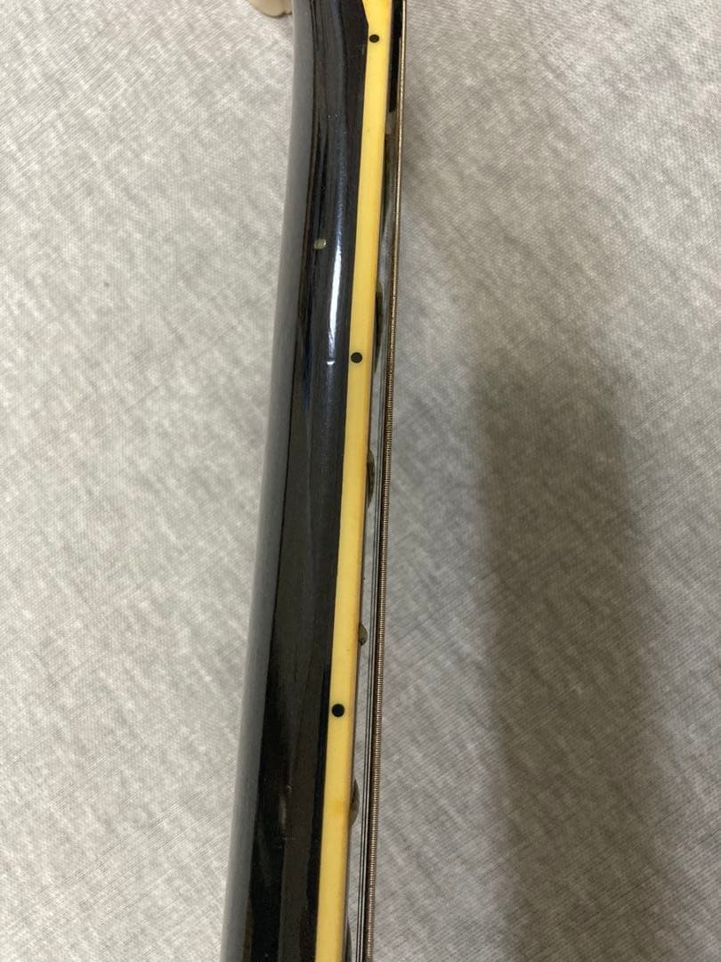 ギター Aria proII PE-DLX