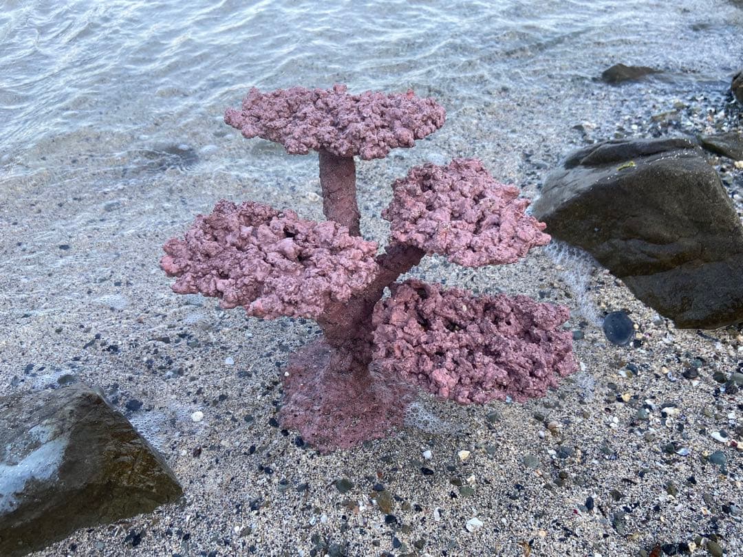 水槽用コーラル模型 ピンク 紫　中型