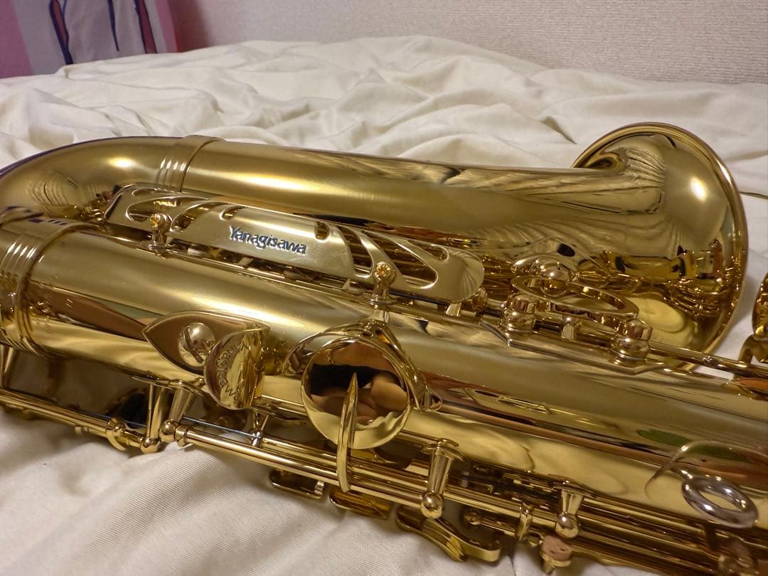 管楽器・吹奏楽器 YANAGISAWA a-wo1