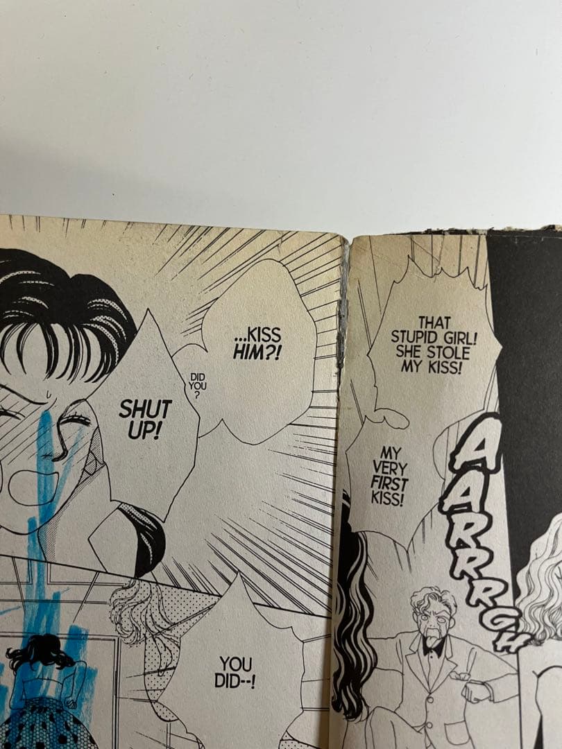 Boys Over Flowers 花より男子 英語版　1-12巻セット