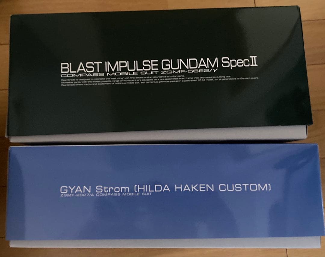 HG ギャンシュトロームヒルダ機 & RG ブラストインパルスガンダムSPECⅡ