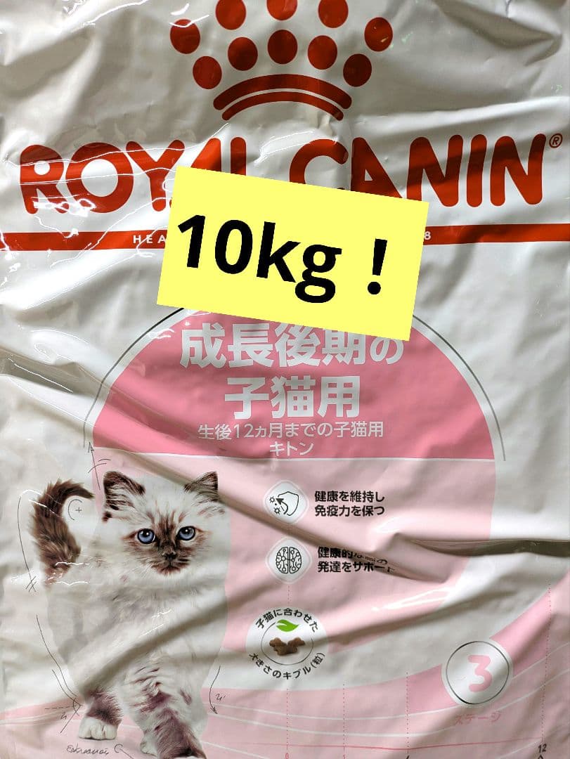  CANIN キトン 10kg