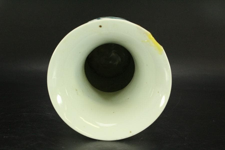 中国美術 門彩 色絵 水辺蓮花 瓶 高23cm(LC243)