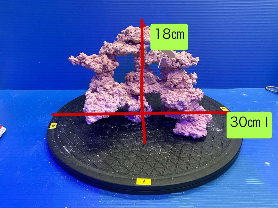 人工ライブロック　No.9-9 無害化処理済