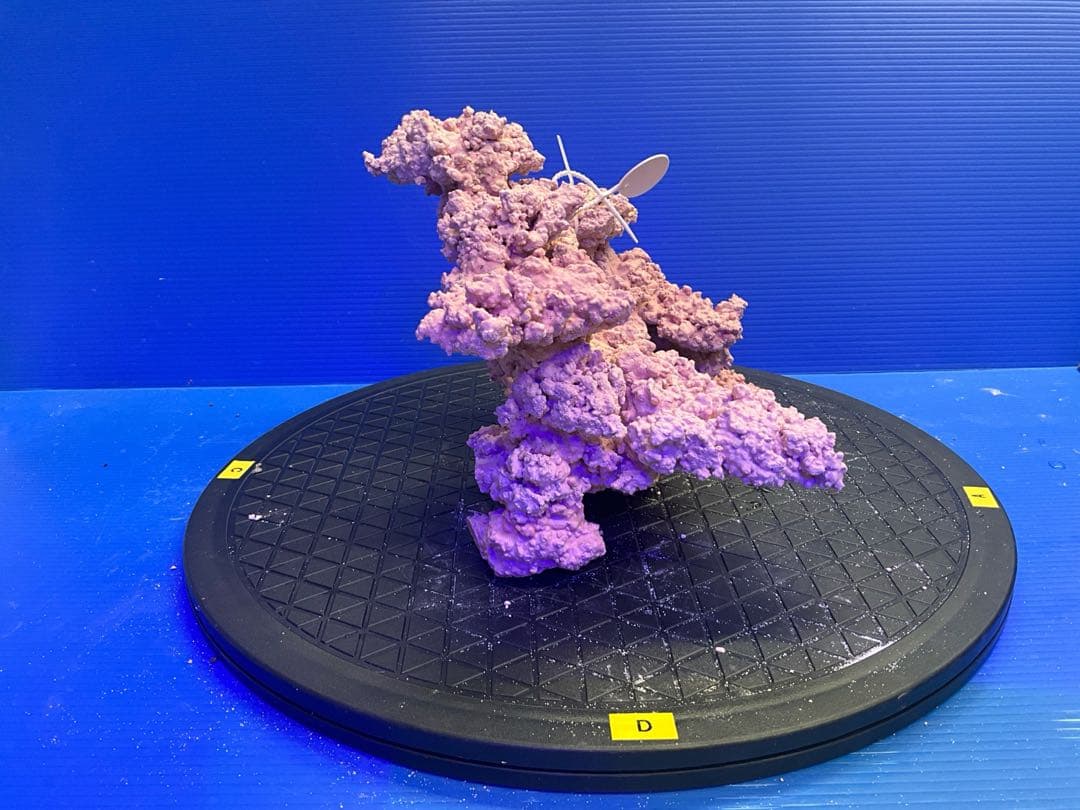 人工ライブロック　No.9-9 無害化処理済