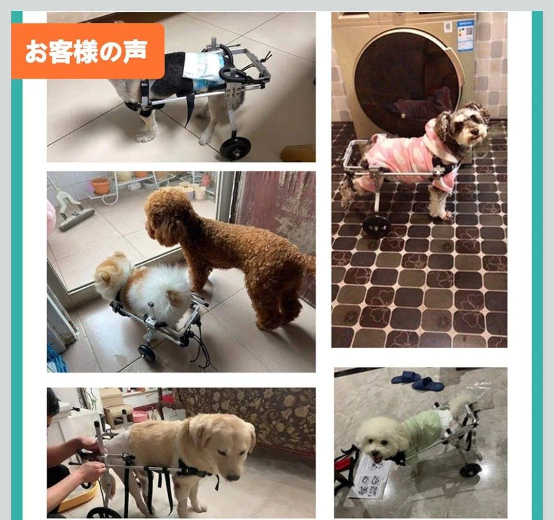 犬の歩行器 犬 ペット 車椅子 後肢 リハビリ 調整可能 M