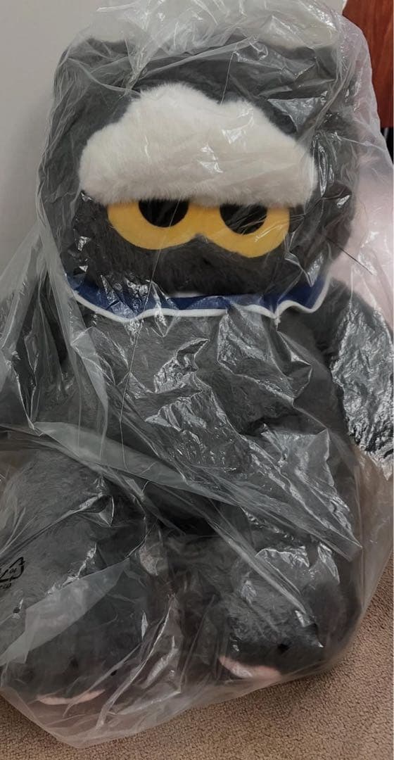 アイドル ZO&FRIENDS Big ZOA