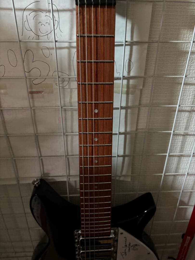 Rickenbacker 325タイプ