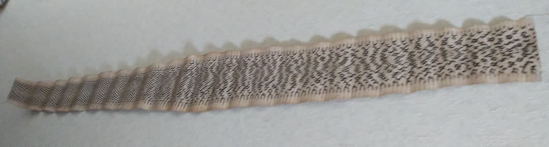 財を築き幸運を呼ぶ 蛇皮 財ヘビ 革 原皮 天然皮革 金運 招福 厄除け 風水