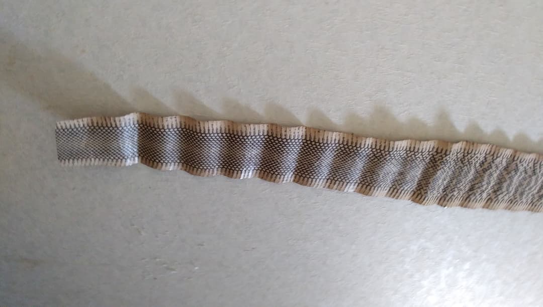 財を築き幸運を呼ぶ 蛇皮 財ヘビ 革 原皮 天然皮革 金運 招福 厄除け 風水