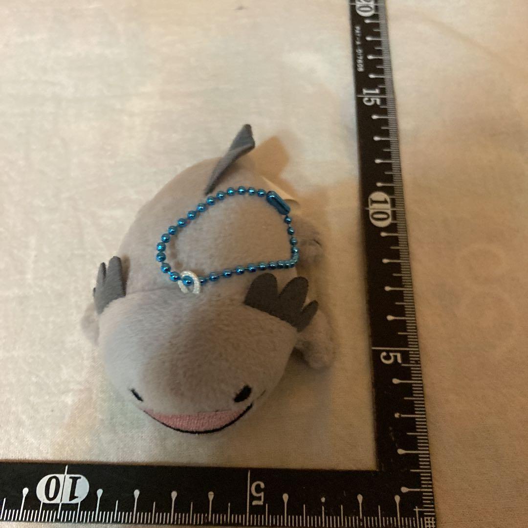 ぬいぐるみ　ウーパールーパー　グレー　キーホルダー