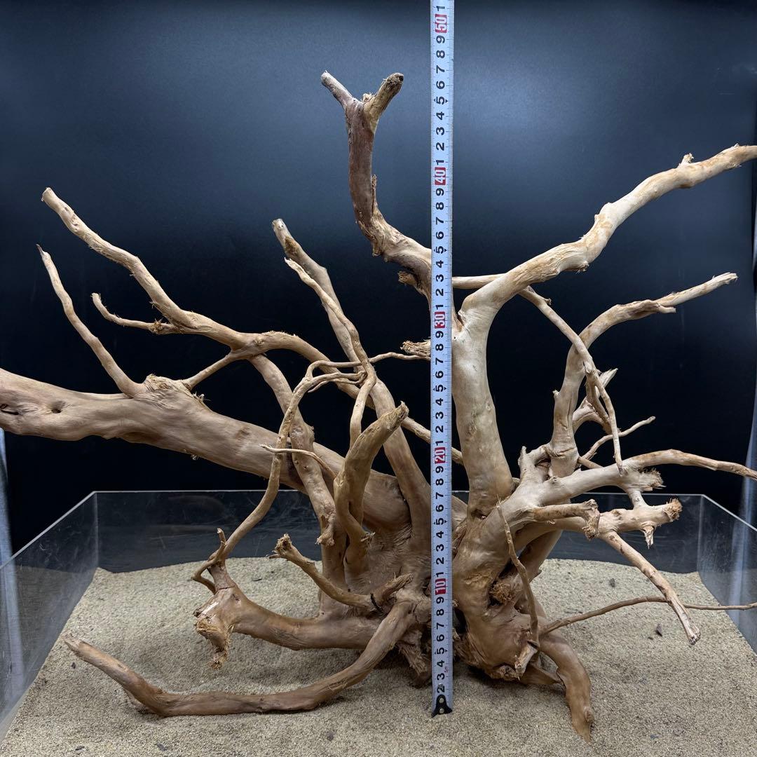 MDW-7122 特大ブランチウッド2本セット　流木　枝流木　アクアリウム