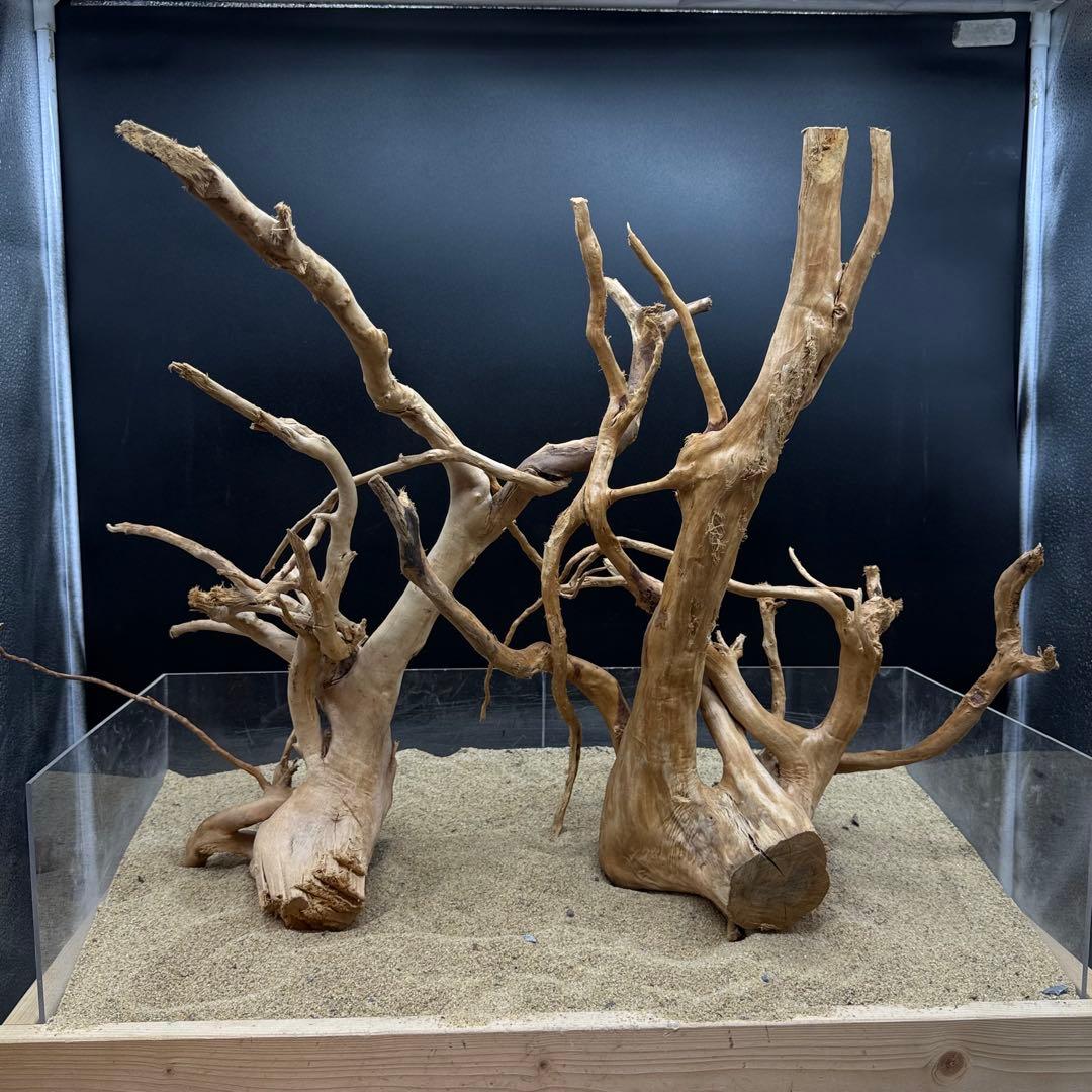 MDW-7122 特大ブランチウッド2本セット　流木　枝流木　アクアリウム