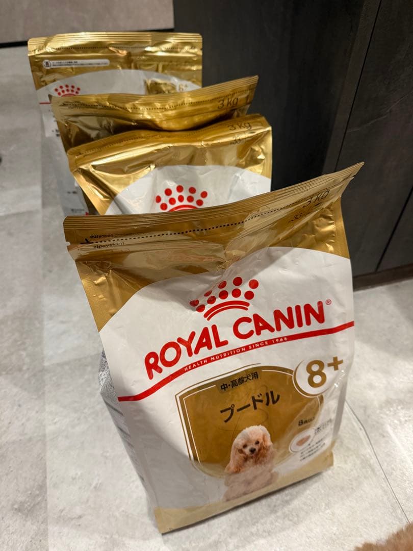  CANIN プードル 8+ ドライフード