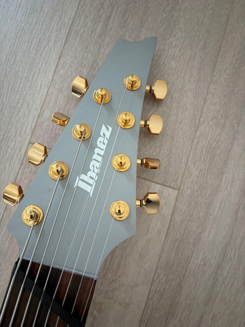 Ibanez RGDMS8 CSM Axe Design Lab 8弦ギター