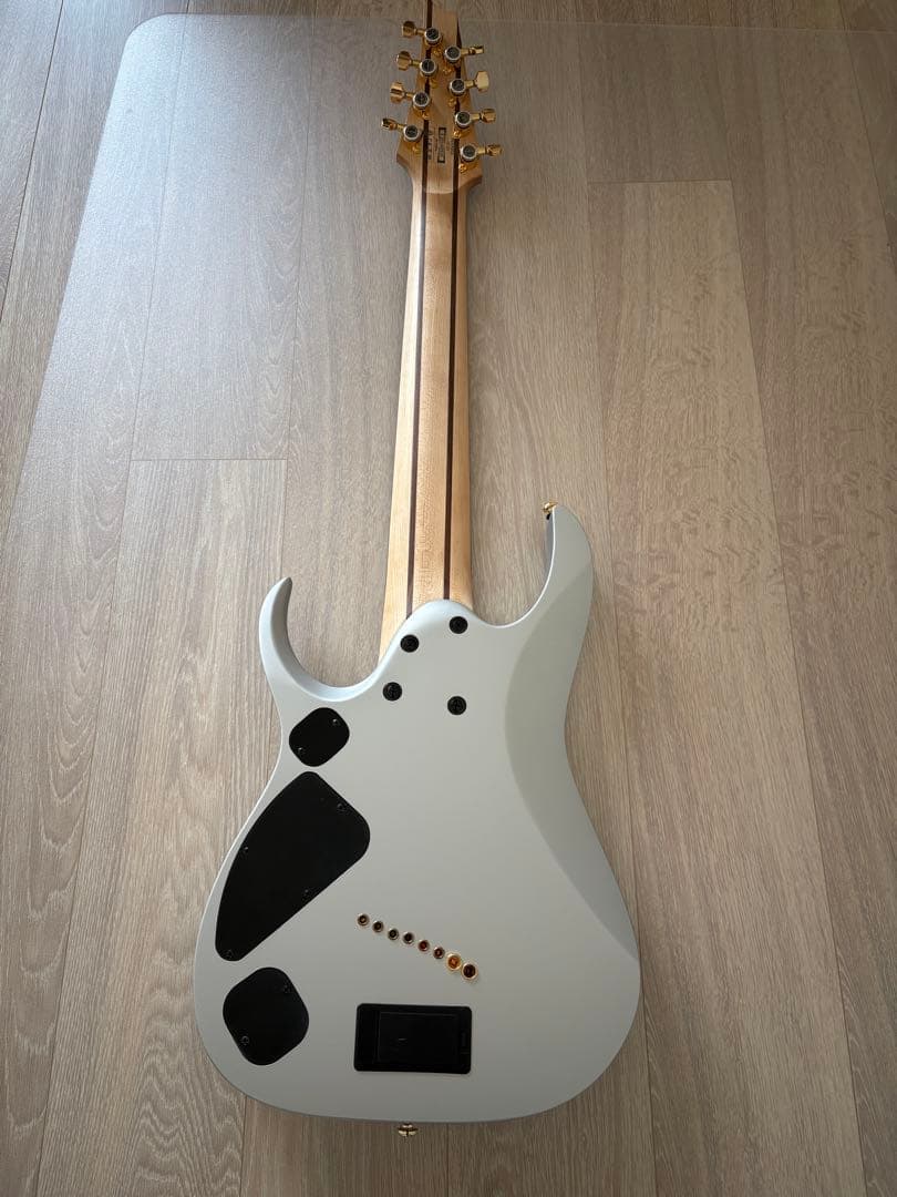 Ibanez RGDMS8 CSM Axe Design Lab 8弦ギター