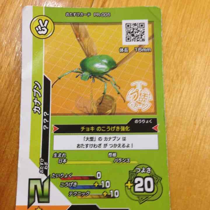 純度100%のカナブン