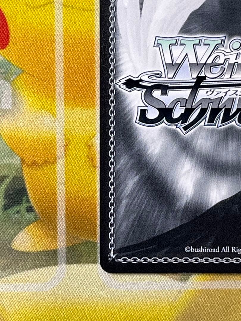 猫に魅せられた少女　羽川翼