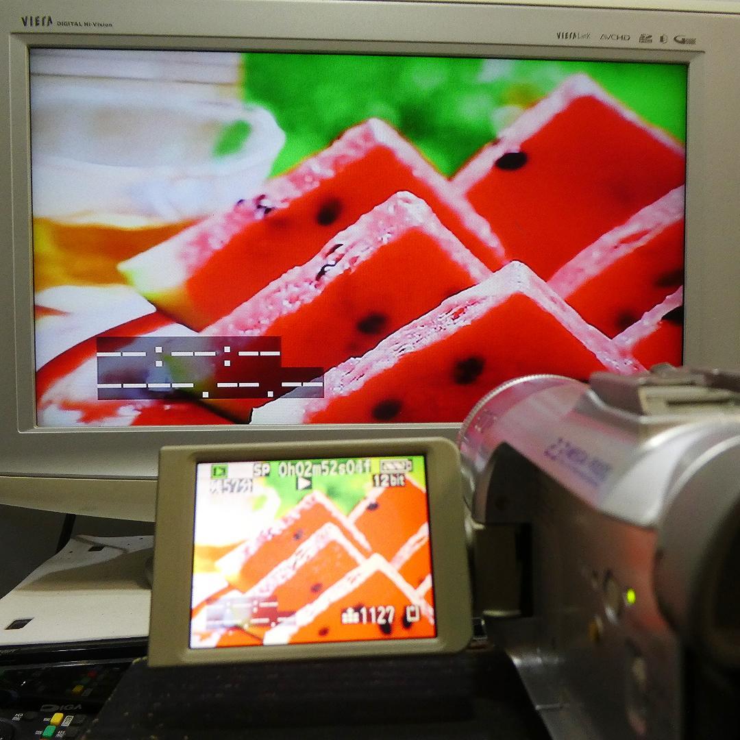 動作良好 パナソニック NV-GS150 MiniDVビデオDVDダビングに最適