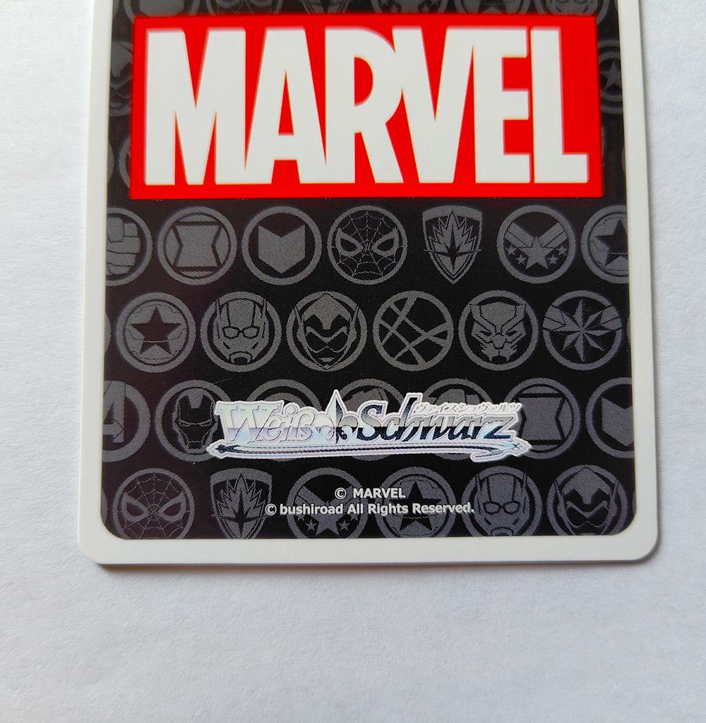 ヴァイス AVGR箔押し「超人 ハルク」 Marvel