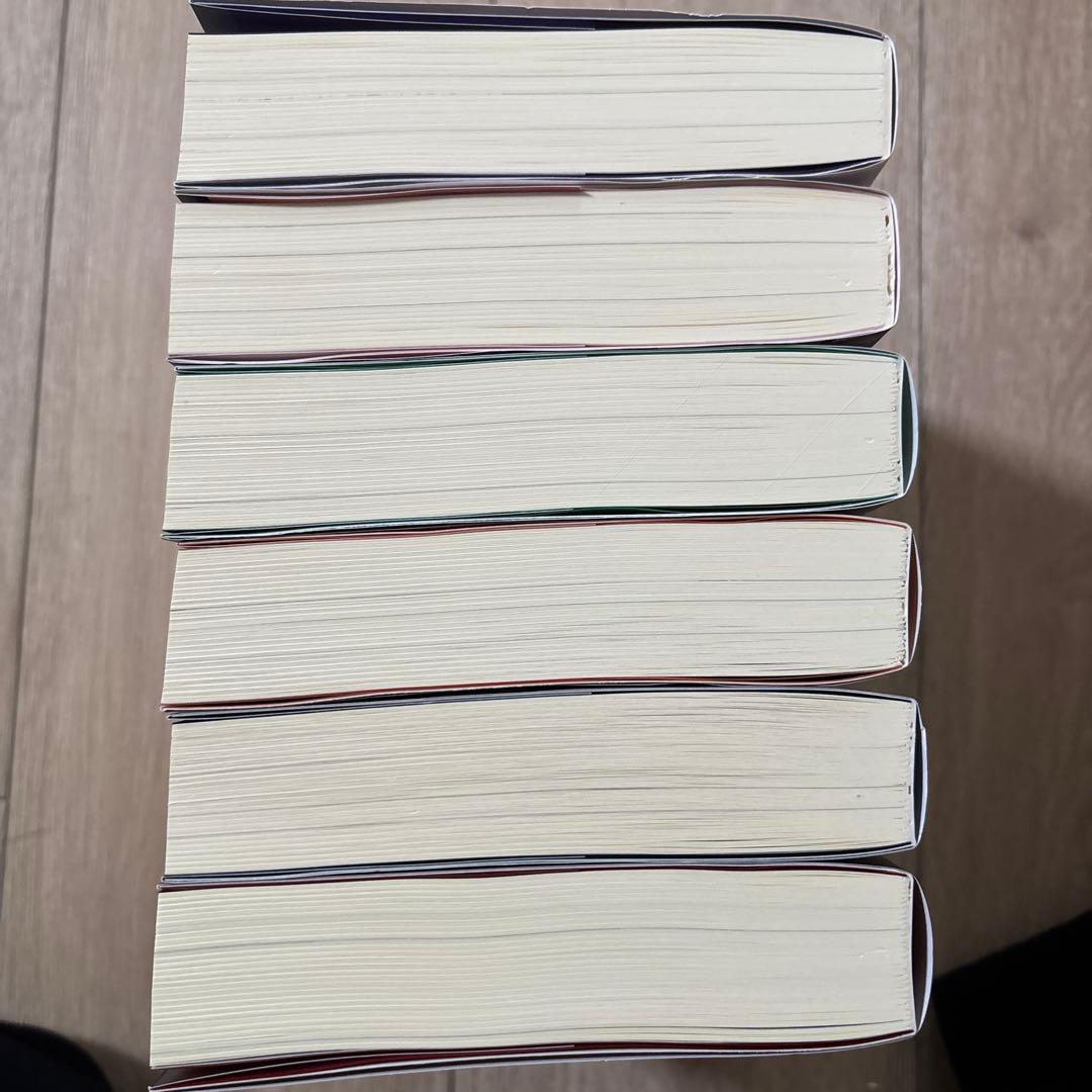 二哈和他的白猫師尊 全6巻セット