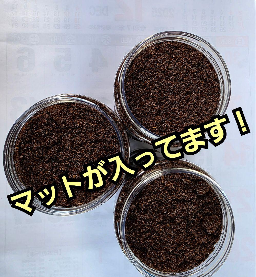 発酵マット入り！国産カブトムシ幼虫1頭飼育専用縦長クリアボト【30本セット】