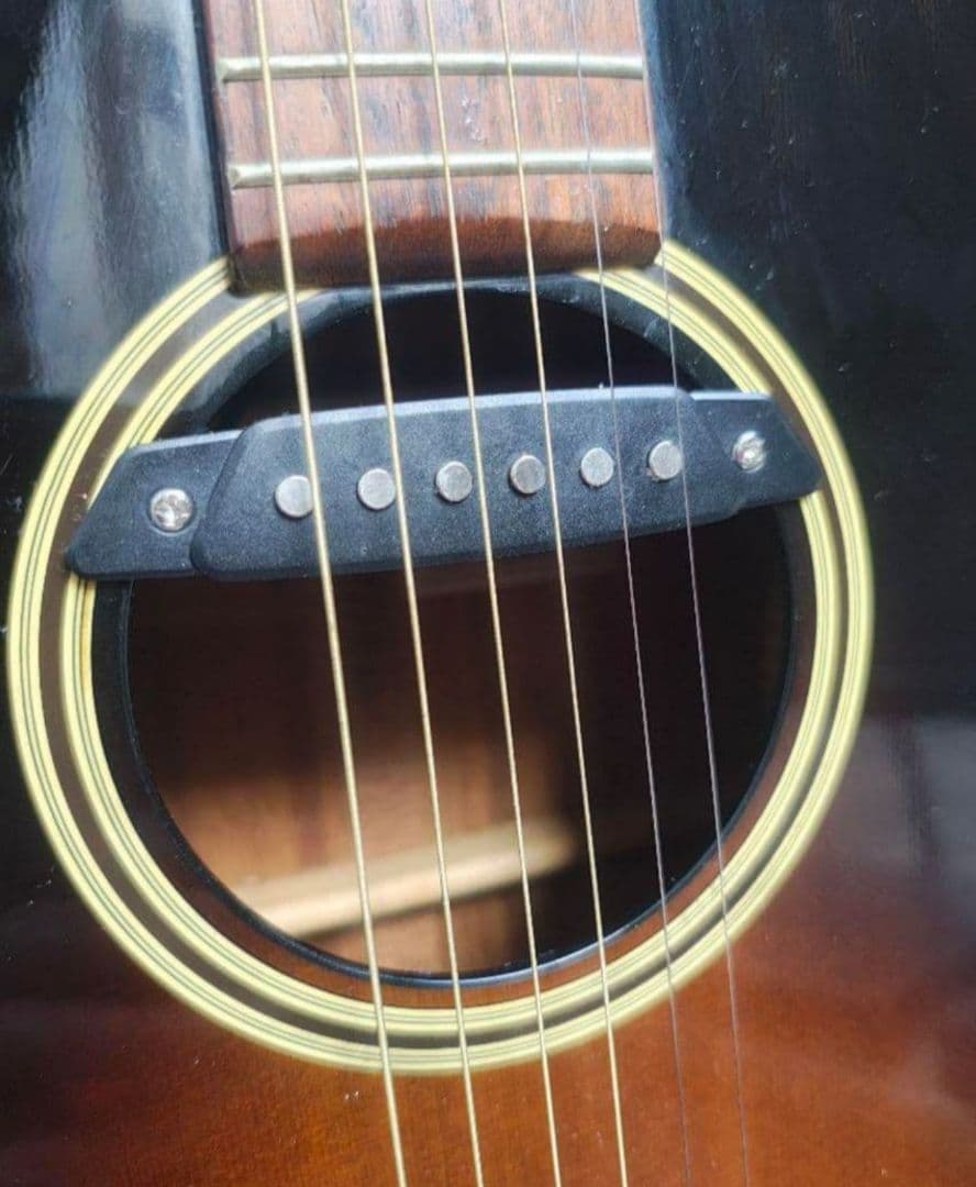 TAKAMINE DSP-410 ニューヨーカー PU付エレアコ 長渕剛