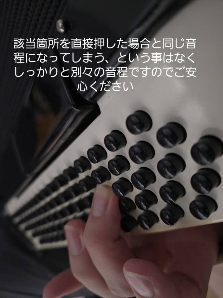 YAMAHA ヤマハ最高級モデル　ヴィンテージ　アコーディオン　３４鍵８０ベース